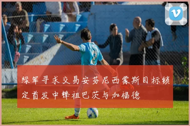 绿军寻求交易安芬尼西蒙斯目标锁定首发中锋祖巴茨与加福德